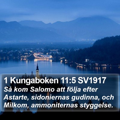 1 Kungaboken 11:5 SV1917 Bible Verse Image