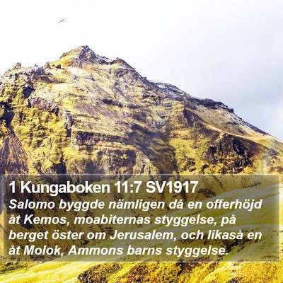 1 Kungaboken 11:7 SV1917 Bible Verse Image