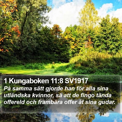 1 Kungaboken 11:8 SV1917 Bible Verse Image