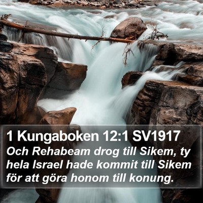 1 Kungaboken 12:1 SV1917 Bible Verse Image