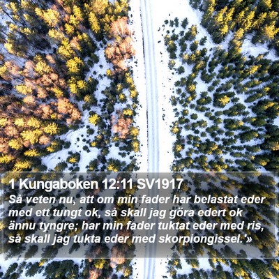 1 Kungaboken 12:11 SV1917 Bible Verse Image