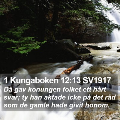 1 Kungaboken 12:13 SV1917 Bible Verse Image