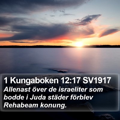 1 Kungaboken 12:17 SV1917 Bible Verse Image