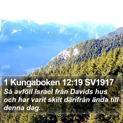 1 Kungaboken 12:19 SV1917 Bible Verse Image