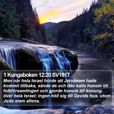 1 Kungaboken 12:20 SV1917 Bible Verse Image
