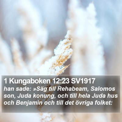 1 Kungaboken 12:23 SV1917 Bible Verse Image