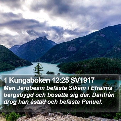 1 Kungaboken 12:25 SV1917 Bible Verse Image