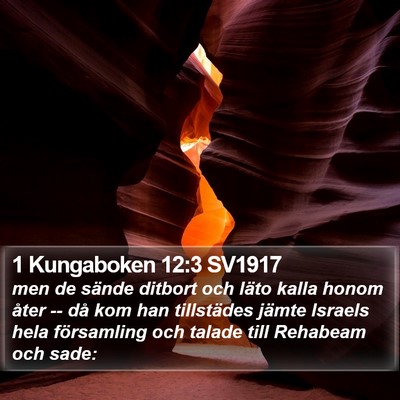 1 Kungaboken 12:3 SV1917 Bible Verse Image