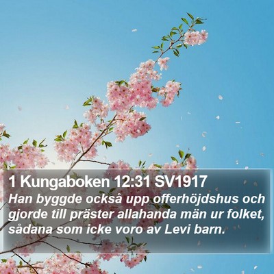 1 Kungaboken 12:31 SV1917 Bible Verse Image