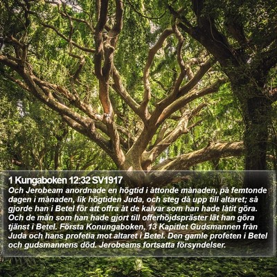 1 Kungaboken 12:32 SV1917 Bible Verse Image