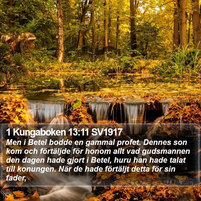 1 Kungaboken 13:11 SV1917 Bible Verse Image