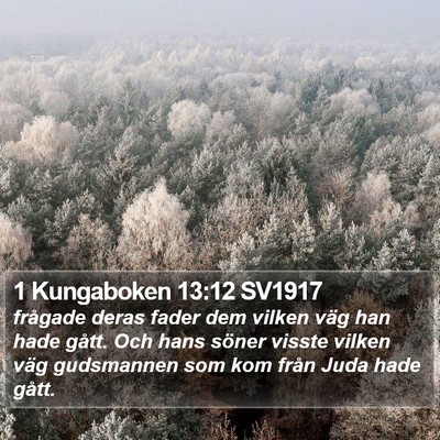 1 Kungaboken 13:12 SV1917 Bible Verse Image