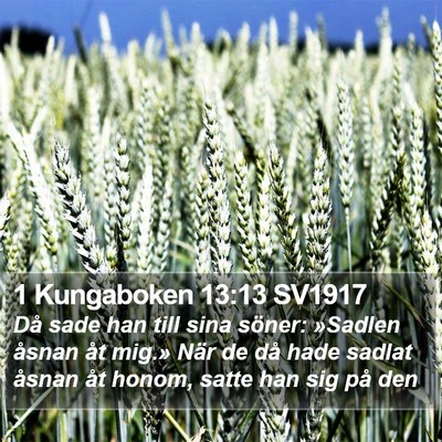 1 Kungaboken 13:13 SV1917 Bible Verse Image