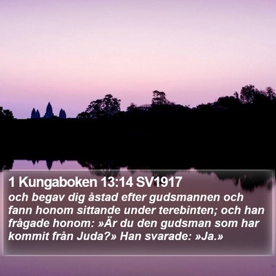 1 Kungaboken 13:14 SV1917 Bible Verse Image