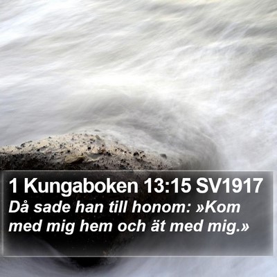 1 Kungaboken 13:15 SV1917 Bible Verse Image