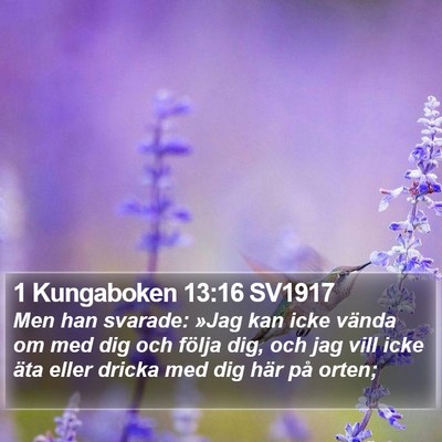 1 Kungaboken 13:16 SV1917 Bible Verse Image
