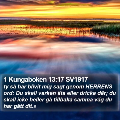 1 Kungaboken 13:17 SV1917 Bible Verse Image