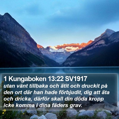 1 Kungaboken 13:22 SV1917 Bible Verse Image