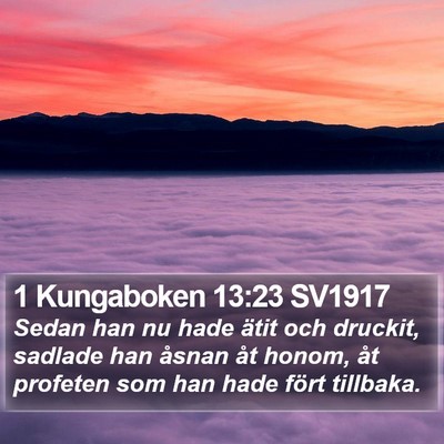 1 Kungaboken 13:23 SV1917 Bible Verse Image