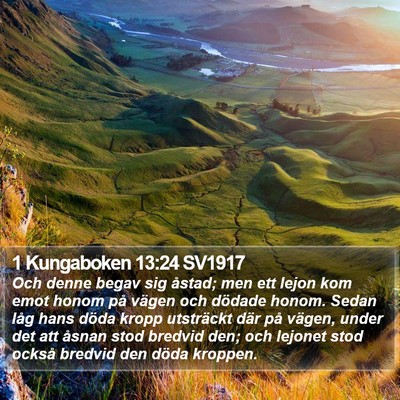 1 Kungaboken 13:24 SV1917 Bible Verse Image