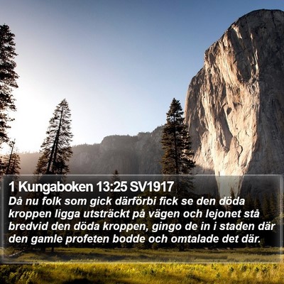 1 Kungaboken 13:25 SV1917 Bible Verse Image