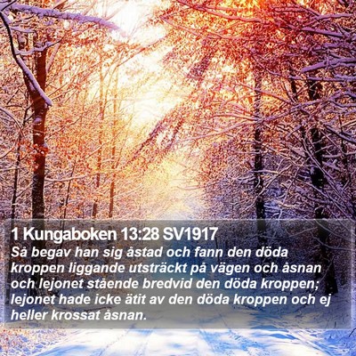 1 Kungaboken 13:28 SV1917 Bible Verse Image
