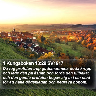 1 Kungaboken 13:29 SV1917 Bible Verse Image