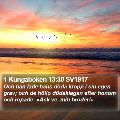 1 Kungaboken 13:30 SV1917 Bible Verse Image