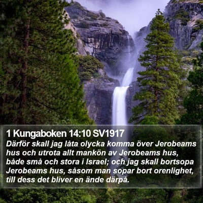 1 Kungaboken 14:10 SV1917 Bible Verse Image