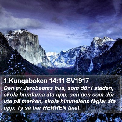 1 Kungaboken 14:11 SV1917 Bible Verse Image