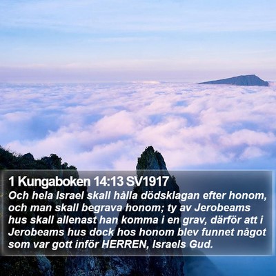 1 Kungaboken 14:13 SV1917 Bible Verse Image
