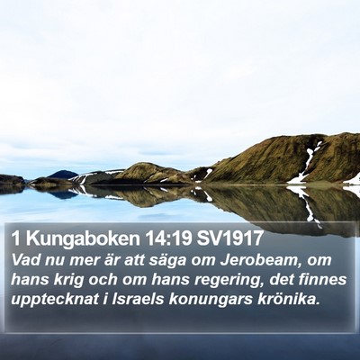 1 Kungaboken 14:19 SV1917 Bible Verse Image