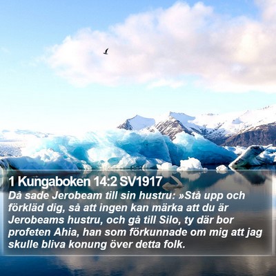 1 Kungaboken 14:2 SV1917 Bible Verse Image