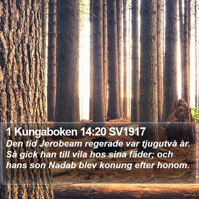 1 Kungaboken 14:20 SV1917 Bible Verse Image