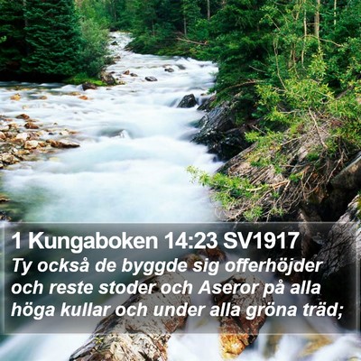 1 Kungaboken 14:23 SV1917 Bible Verse Image