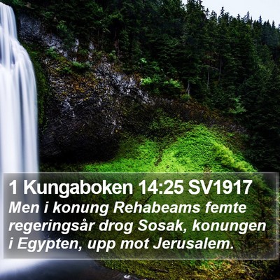 1 Kungaboken 14:25 SV1917 Bible Verse Image