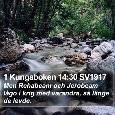 1 Kungaboken 14:30 SV1917 Bible Verse Image