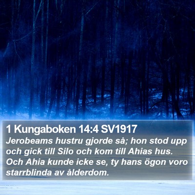 1 Kungaboken 14:4 SV1917 Bible Verse Image
