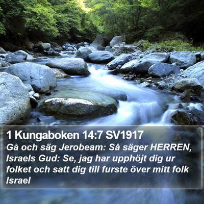 1 Kungaboken 14:7 SV1917 Bible Verse Image