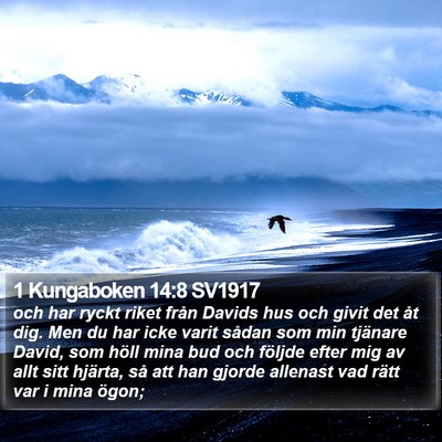 1 Kungaboken 14:8 SV1917 Bible Verse Image