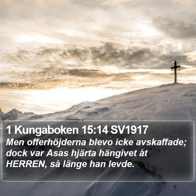 1 Kungaboken 15:14 SV1917 Bible Verse Image