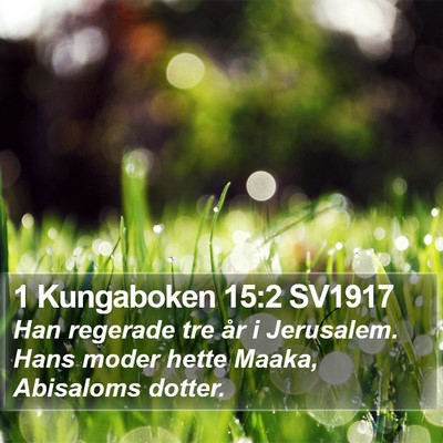 1 Kungaboken 15:2 SV1917 Bible Verse Image