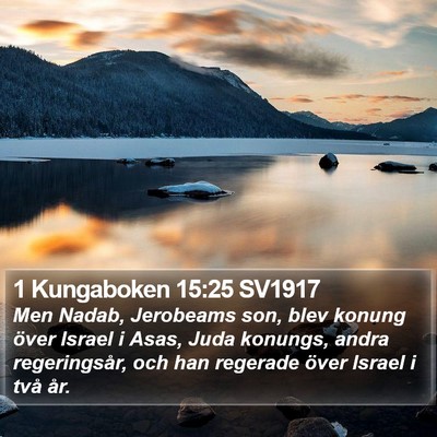 1 Kungaboken 15:25 SV1917 Bible Verse Image