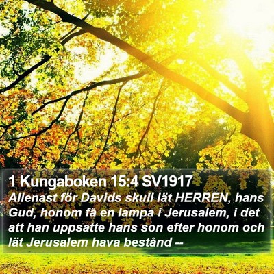 1 Kungaboken 15:4 SV1917 Bible Verse Image