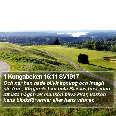 1 Kungaboken 16:11 SV1917 Bible Verse Image
