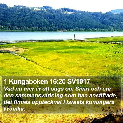1 Kungaboken 16:20 SV1917 Bible Verse Image