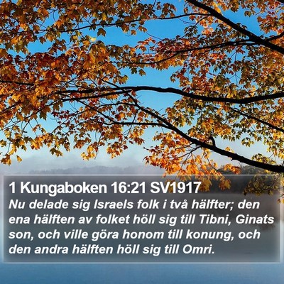 1 Kungaboken 16:21 SV1917 Bible Verse Image