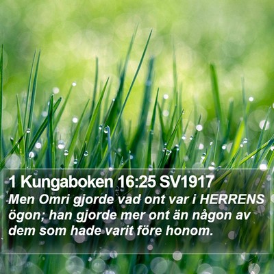 1 Kungaboken 16:25 SV1917 Bible Verse Image