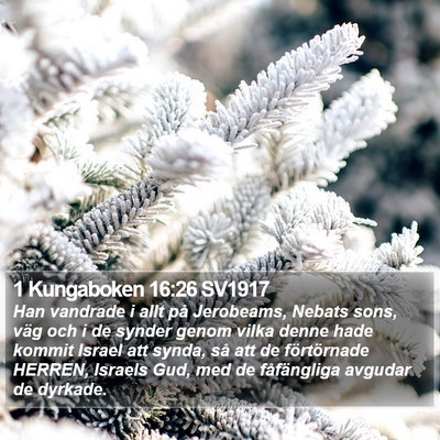 1 Kungaboken 16:26 SV1917 Bible Verse Image