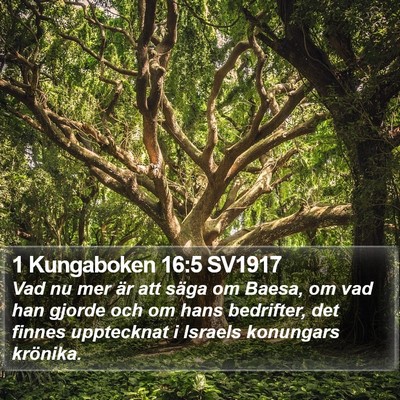1 Kungaboken 16:5 SV1917 Bible Verse Image